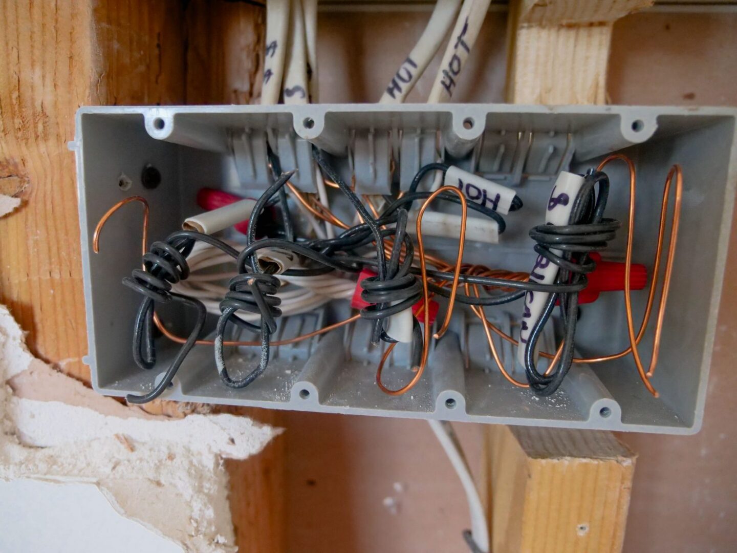 A gray plastic box set between wall studs with several NM cables entering and conductors joined with wire nuts, HOT labels on the sheathing.